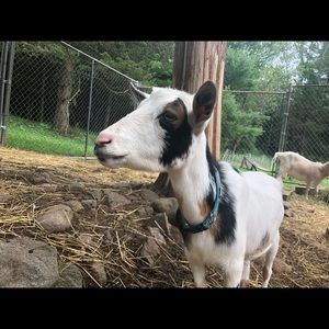 Meet your Posher, Taylor